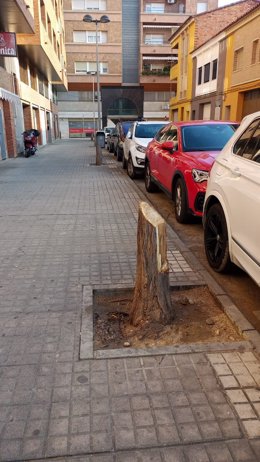 El Ayuntamiento de Fraga mejora del arbolado urbano a través de actuaciones paisajísticas de saneamiento y reposición.