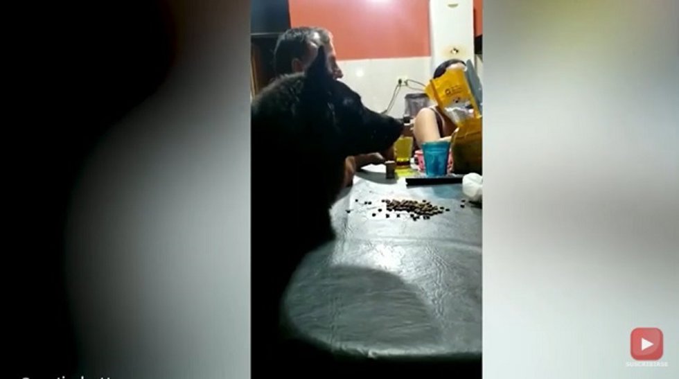 Este perro disfruta del partido de fútbol como uno más de la familia
