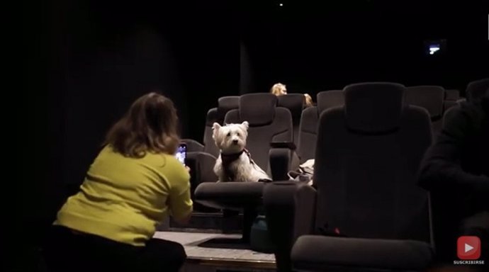 Abre el primer cine para perros en Manchester