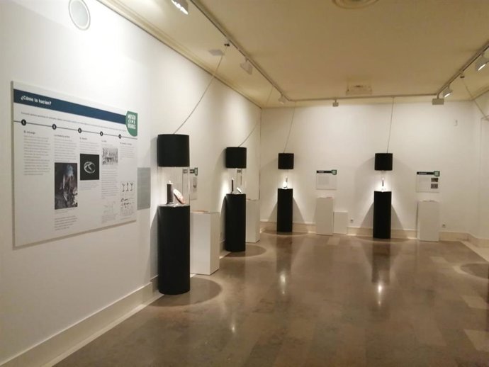 Exposición 'Museo (in)visible'.