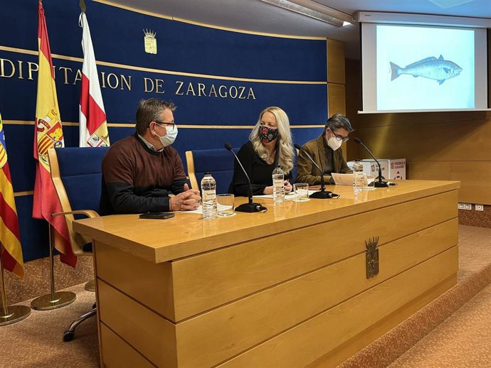 Presentación de 'Los peces de los mares de España' en la sala de prensa de la DPZ