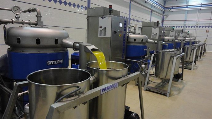 Archivo - Almazara de aceite de oliva.