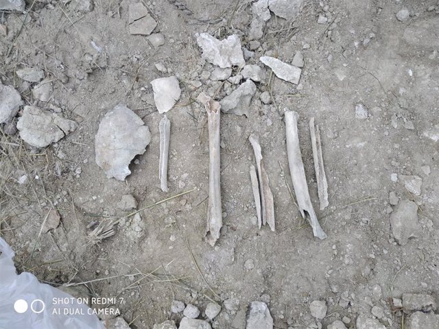 Restos óseos aparecidos en Campos del Río