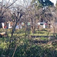 El fiscal pide que las menores de la red de explotación sexual declaren como prueba preconstituida