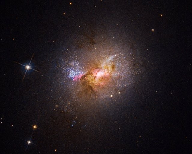 Esta Galaxia Enana Con Estallido Estelar Henize 2-10 Brilla Con Estrellas Jóvenes En Esta Imagen De Luz Visible Del Hubble. La Región Brillante En El Centro, Rodeada De Nubes Rosadas Y Franjas De Polvo Oscuro, Indica La Ubicación Del Agujero Negro Masivo