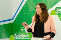 PP-A denuncia que PSOE-A y Vox comparten el "interés partidista de erosionar" al Gobierno andaluz