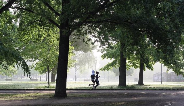 Dos personas realizan ejercicio por un parque.