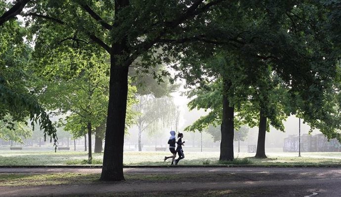 Dos personas realizan ejercicio por un parque.