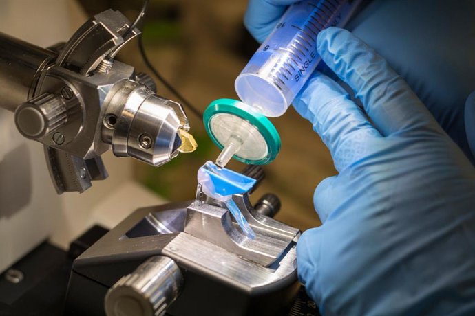 Archivo - Laboratorio de los Servicios Generales de Investigación de la US.