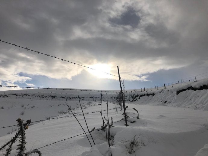 Archivo - Nieve en Asturias