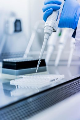 Archivo - El CTNC investiga la reutilización de deshechos de alcachofa y granada para la producción de bioplásticos