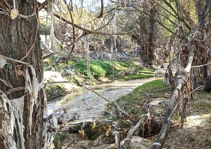 Toallitas colgadas de los árboles y en las orillas del cauce del arroyo de Valdebebas