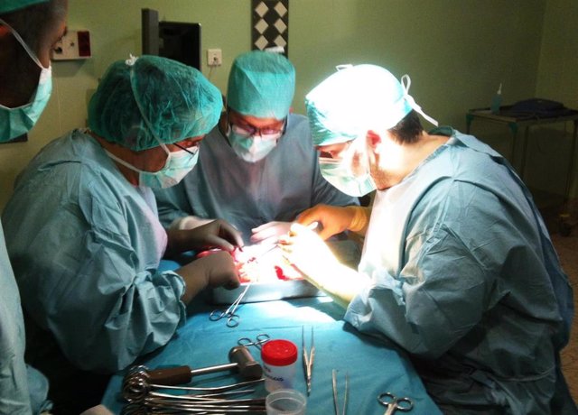 El Hospital Regional de Málaga realiza 14 trasplantes de órganos en 15 días
