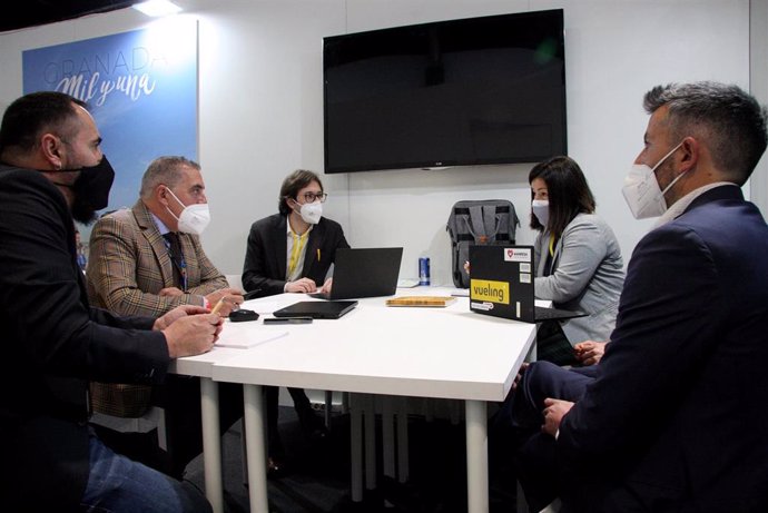 Reunión entre los técnicos de la Diputación de Granada y responsables de Vueling.