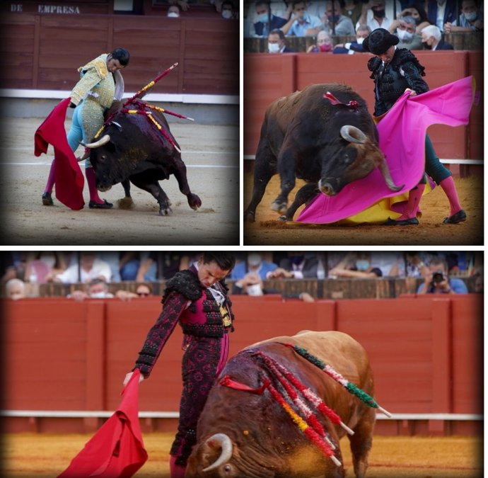 Los toreros Morante de la Puebla, Diego Urdiales y Juan Ortega lidiarán reses de Jandilla en Arnedo el 19 de marzo