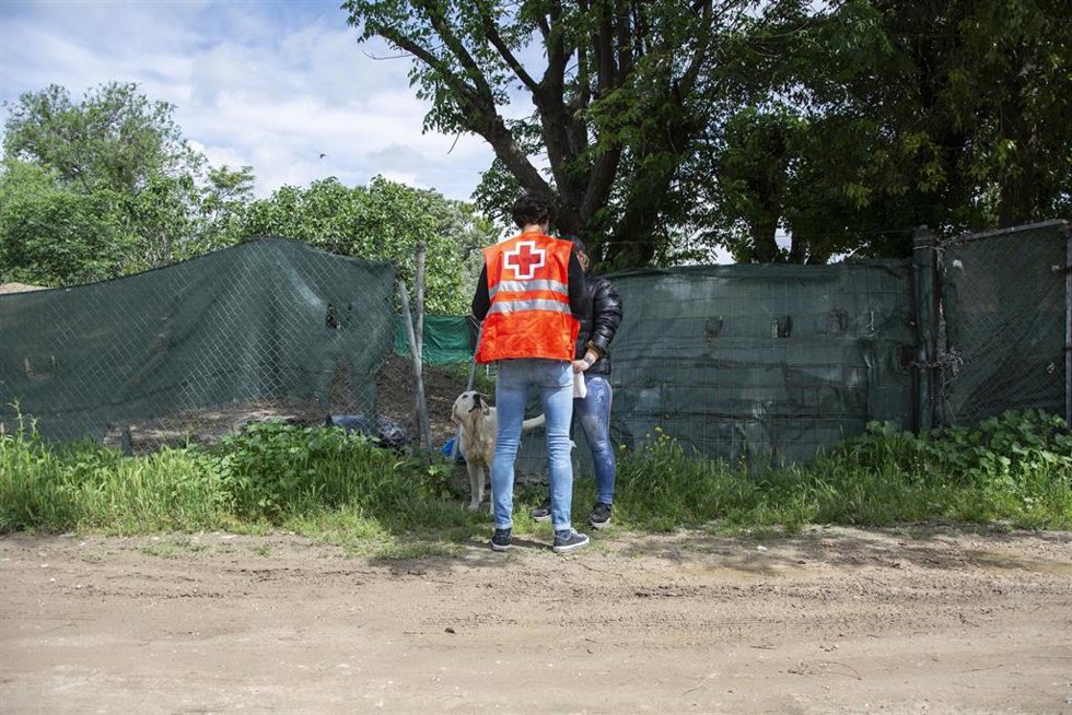 Archivo - Una voluntaria de Cruz Roja durante una atención.
