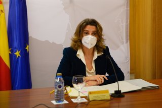 La vicepresidenta cuarta y ministra para la Transición Ecológica y el Reto Demográfico, Teresa Ribera, durante su reunión con empresarios del sector de la transición ecológica, en la delegación del Gobierno en Galicia, a 13 de enero de 2022, en A Coruña, 