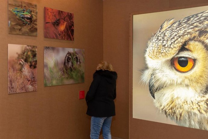 Exposición Natura Godella