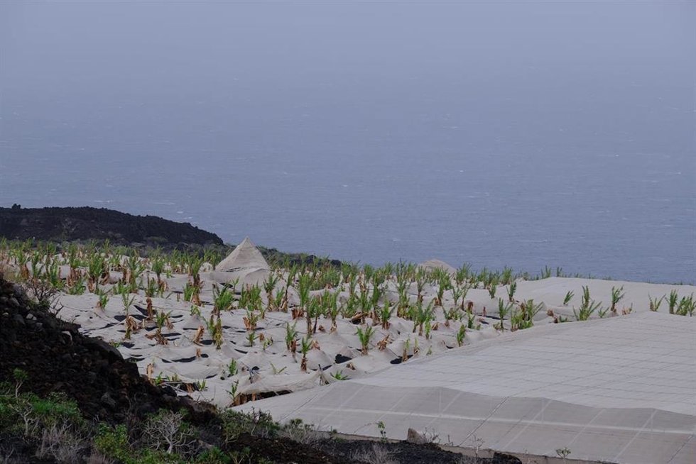 Archivo - Escombros de los invernaderos afectados por el volcán de La Palma