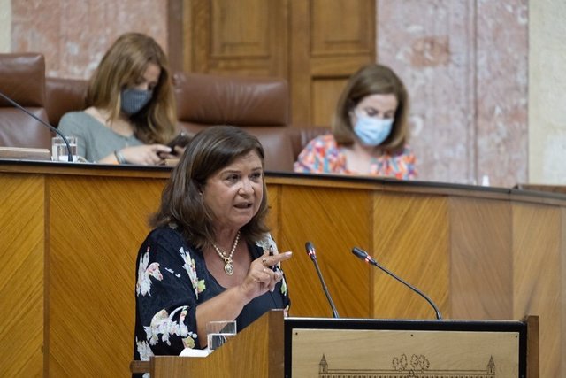 Archivo - La parlamentaria del PP-A Carmen Céspedes, en una foto de archivo.