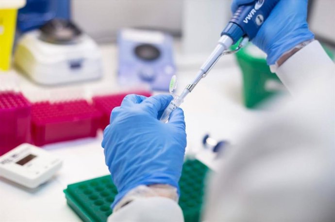 Laboratorio genético