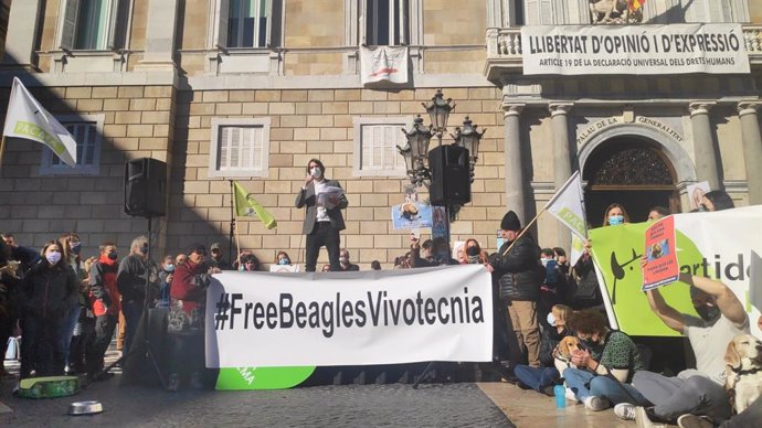 Manifestació en la Plaa Sant Jaume de Barcelona contra el presumpte sacrifici d'una trentena de gossos beagle per un experiment