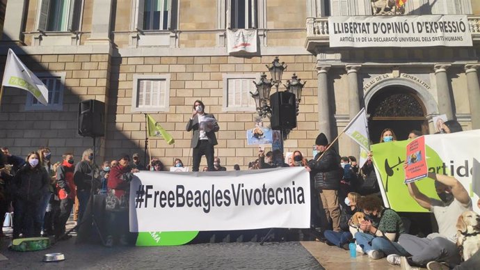 Manifestación en la Plaa Sant Jaume de Barcelona contra el presunto sacrificio de una treintena de perros beagle por un experimento