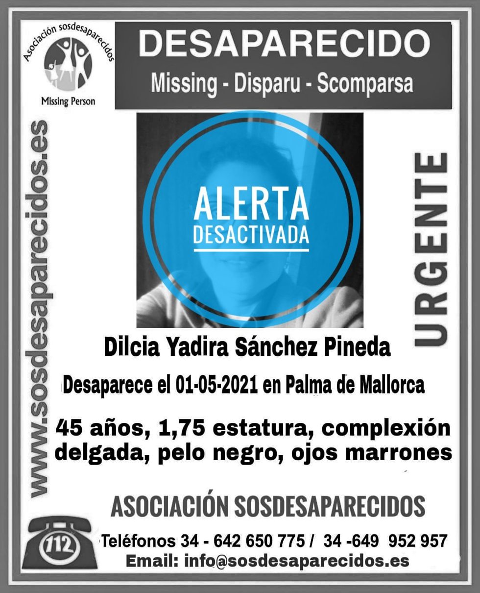 Imagen de la desactivación de la alerta de búsqueda