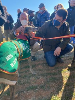 El presidente del Partido Popular de Castilla y León, Alfonso Fernández Mañueco, ha asistido hoy a los cuartos de final del Campeonato de España de Galgos en Campo.