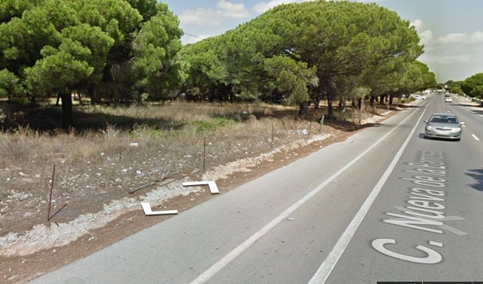 Zona de pinares donde se ha producido el accidente en Chiclana