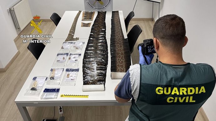 Guardia Civil recupera 100 piezas de marfil, pieles de serpientes y lagartos dispuestos para su venta ilegal en el País Vasco