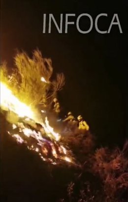 Efectivos del Infoca trabajan en un incendio en Monte de la Tortuga