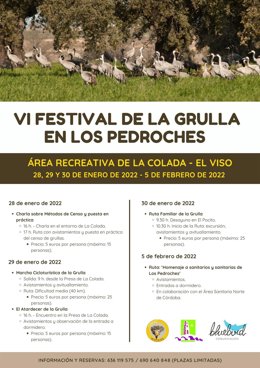 Cartel del VI Festival de la Grulla en El Viso, con un homenaje a los sanitarios.