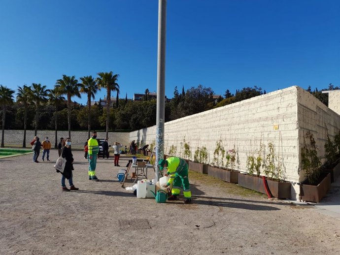 Entidades y vecinos participan en la siembra de enredaderas en Sa Riera.