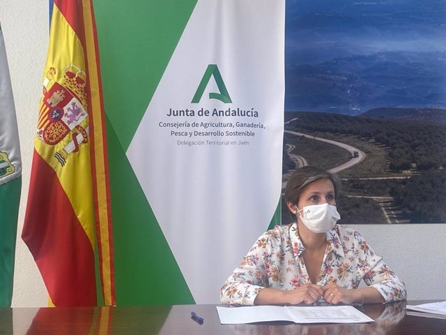 Archivo - La delegada territorial de Agricultura, Ganadería y Pesca en Jaén, Soledad Aranda, en una imagen de archivo