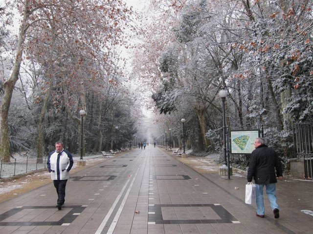 Archivo - Frío. Campo Grande de Valladolid
