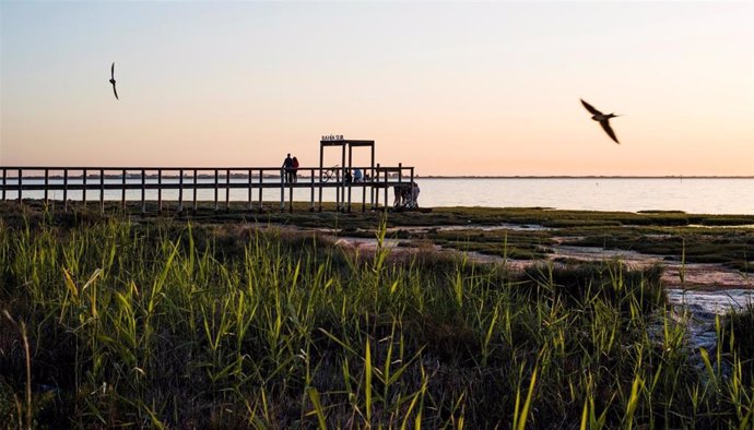 Los galardones de sostenibilidad reconocen las políticas y procedimientos de mejora continua en la gestión, el seguimiento y la auditoría interna del centro comercial Bahía Sur, en pleno Parque Nacional de la Bahía de Cádiz.