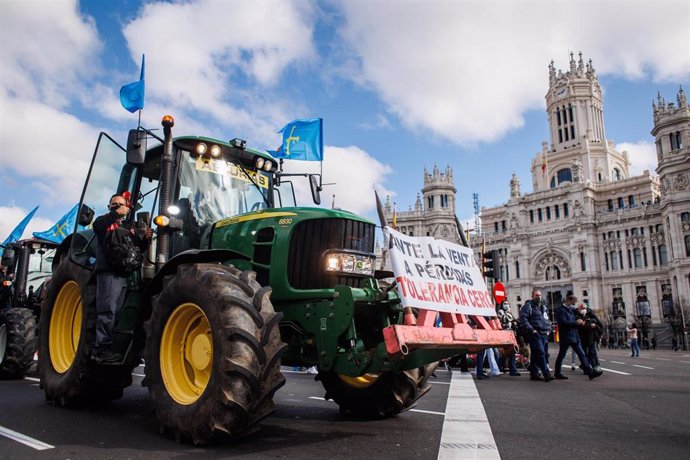 Un tractor con banderas de Asturias, en la movilización en defensa del campo y del mundo rural y la futura Ley de Protección Animal, en Cibeles, a 23 de enero de 2022, en Madrid (España). 