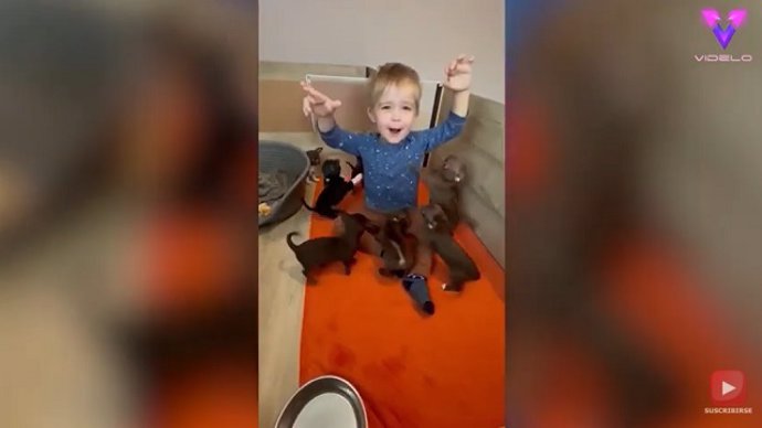 Los cachorros adoran a este niño de dos años