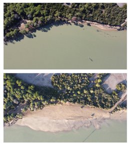 El antes y después en la zona del Parque de Doñana donde se ha actuado con las arenas extraídas durante el dragado de mantenimiento del Puerto de Sevilla.