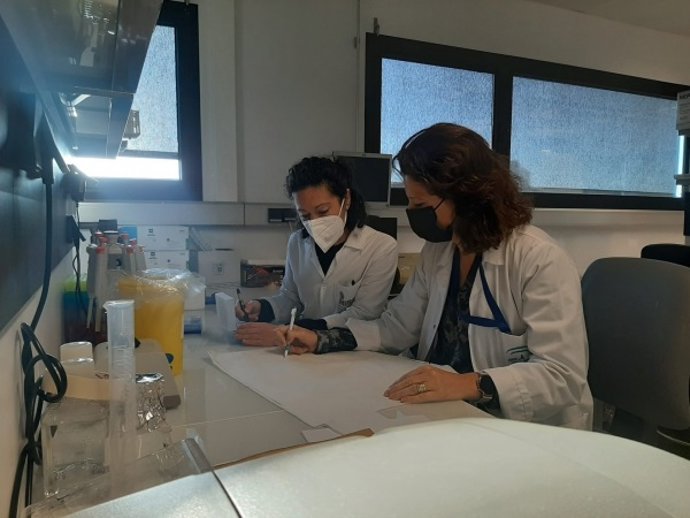 Investigadoras de la UCO en un laboratorio, en una imagen de archivo.