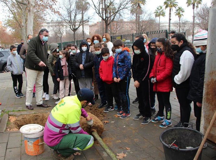 La delegada del Distrito Este-Alcosa-Torreblanca, Adela Castaño, junto a responsables del Servicio de Parques y Jardines, asiste a una plantación en la calle Fernanda Calado Rosales.