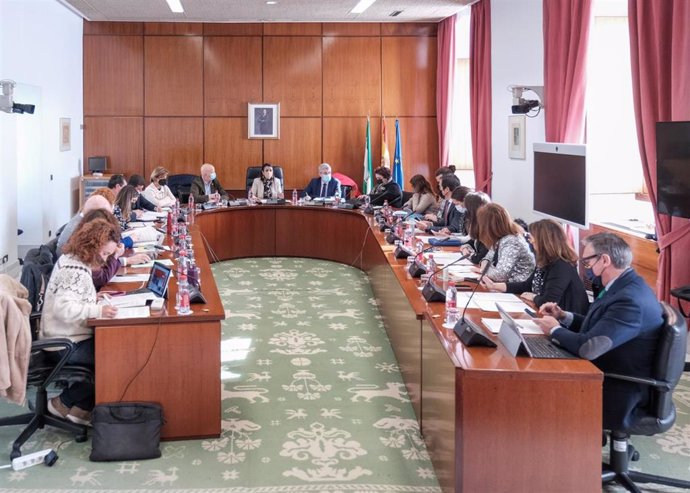 Imagen de 19 de enero de la reunión de la Diputación Permanente del Parlamento de Andalucía.
