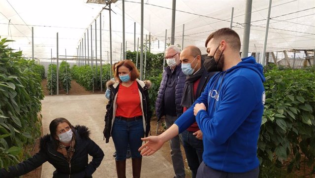Las delegadas de Agricultura y de Desarrollo Sostenible visitan un invernadero en Almería.