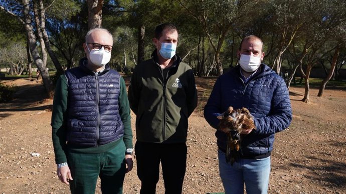 Ribas, Muñoz y Mir en la liberación del ejemplar de milano real.