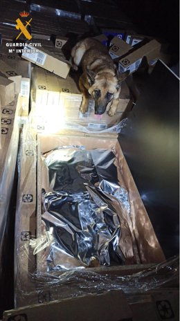 Imagen de la droga incautada dentro del camión en La Jonquera (Girona)