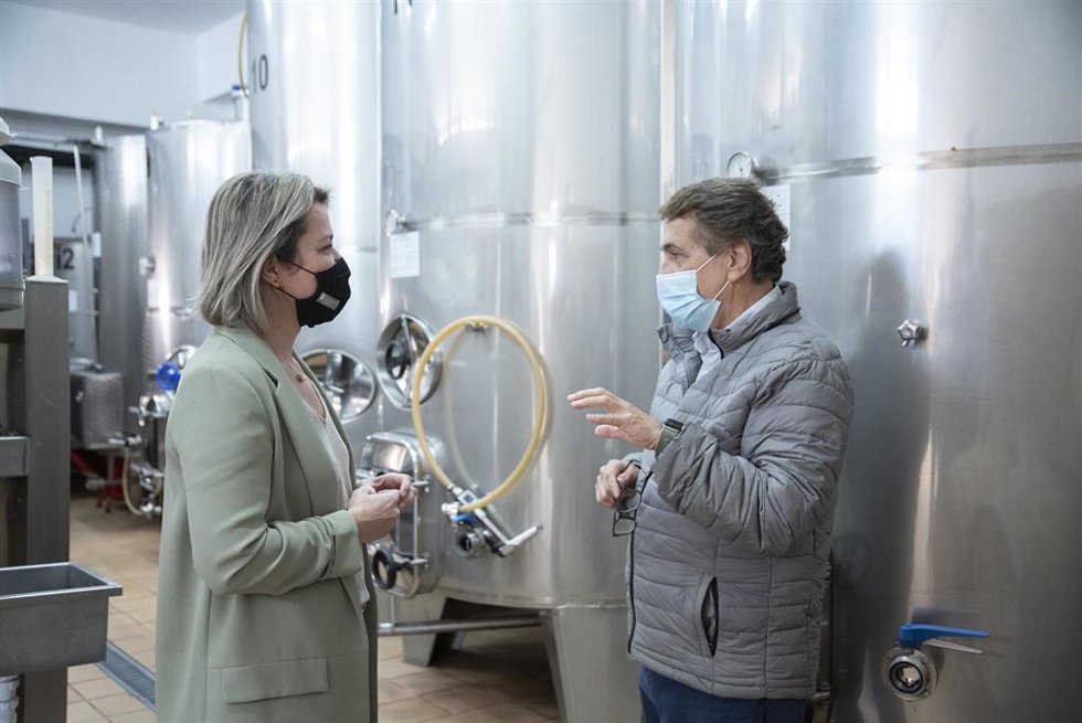 La consejera de Agricultura, Ganadería y Pesca del Gobierno de Canarias, Alicia Vanoostende, visita las Bodegas Tempus SAT de la Denominación de Origen de Güímar