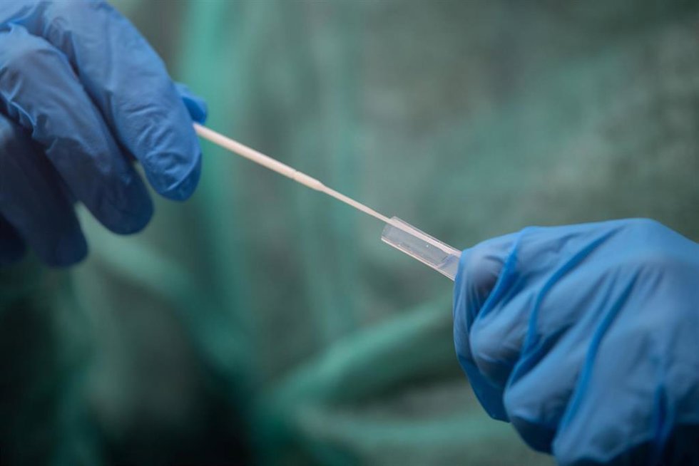 Test rápido de coronavirus. 