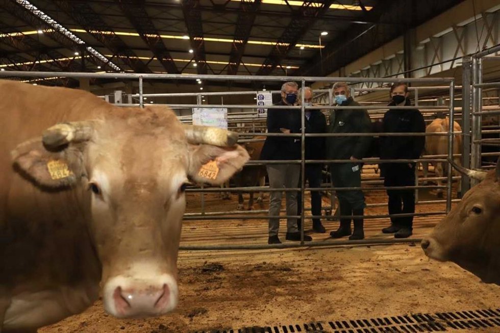 El vicepresidente primero de la Xunta, Alfonso Rueda, en una visita este martes a la Central Agropecuaria de Galicia Abanca, situada en Silleda (Pontevedra).