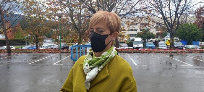 Archivo - La consejera de Desarrollo Económico, Sostenibilidad y Medio Ambiente, Arantxa Tapia.